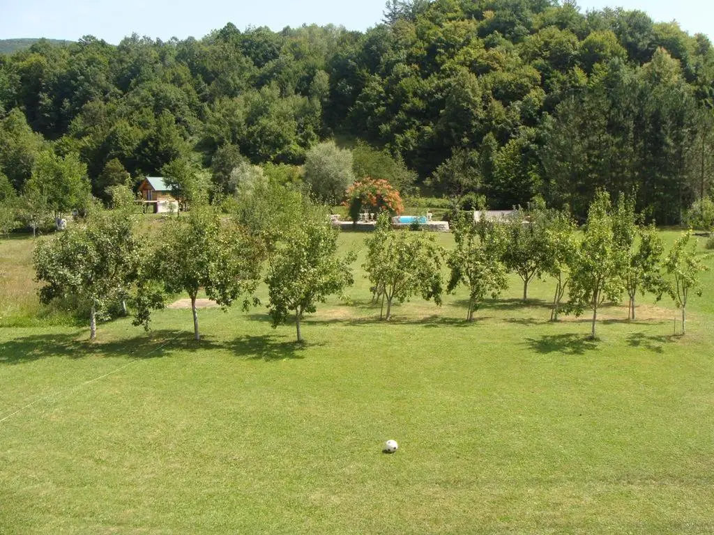 Saraj Guest House