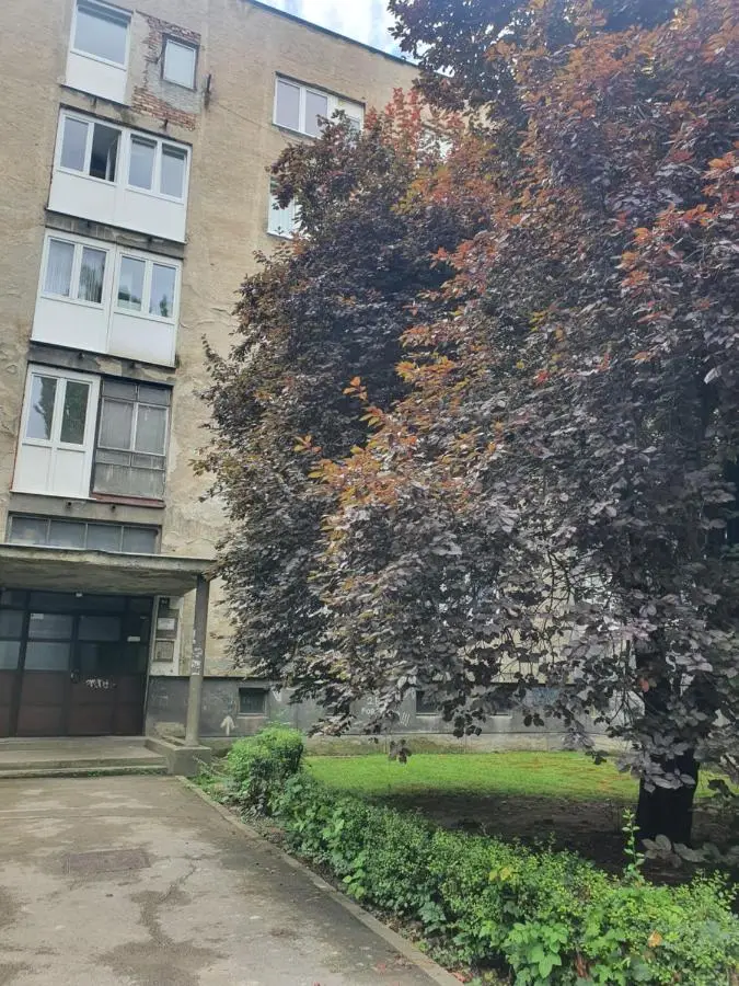 Charm A Sarajevo