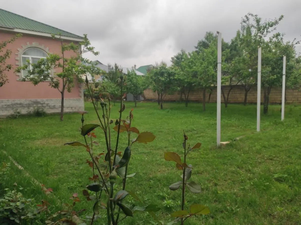 Gabala Home