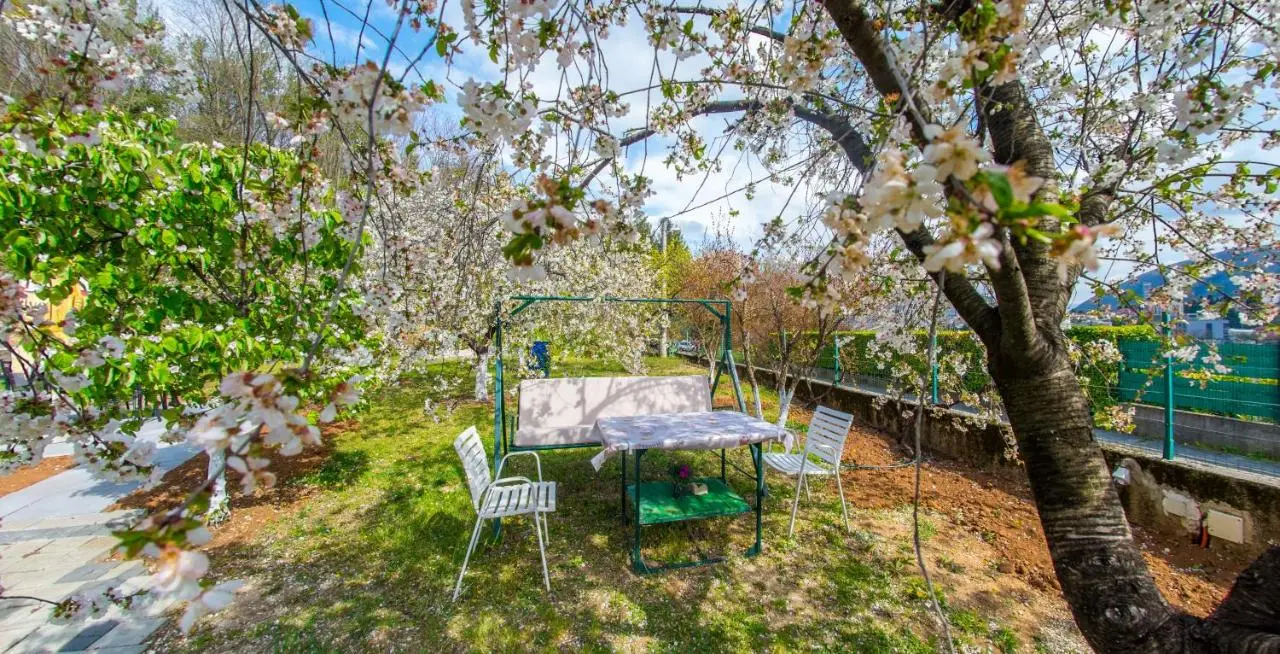 Bega Apartman