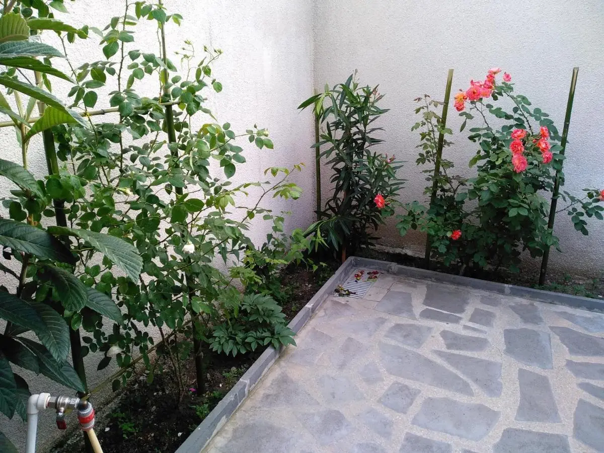 Old City LG Apartments