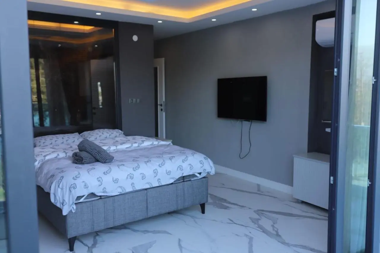 Sapanca Villa View Suite