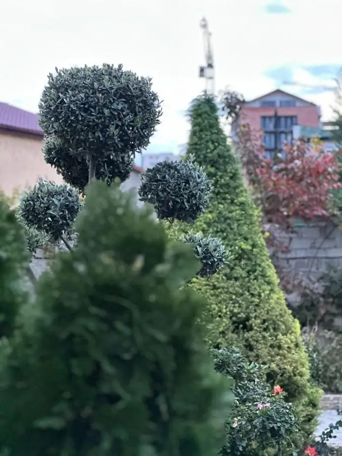 LARDA TBILISI