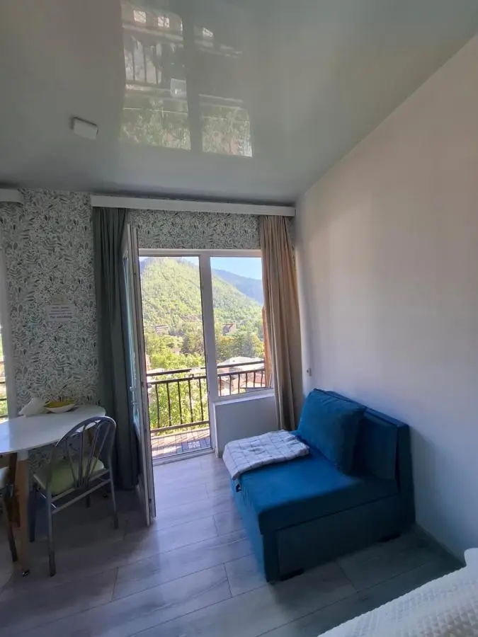 Borjomi Nest 1