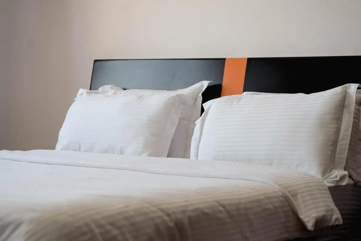 Whole Floor Apartment In Upscale Neighborhood