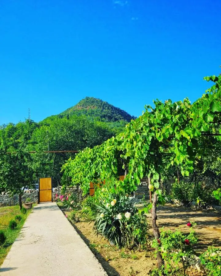 Family hotel mountain panorama