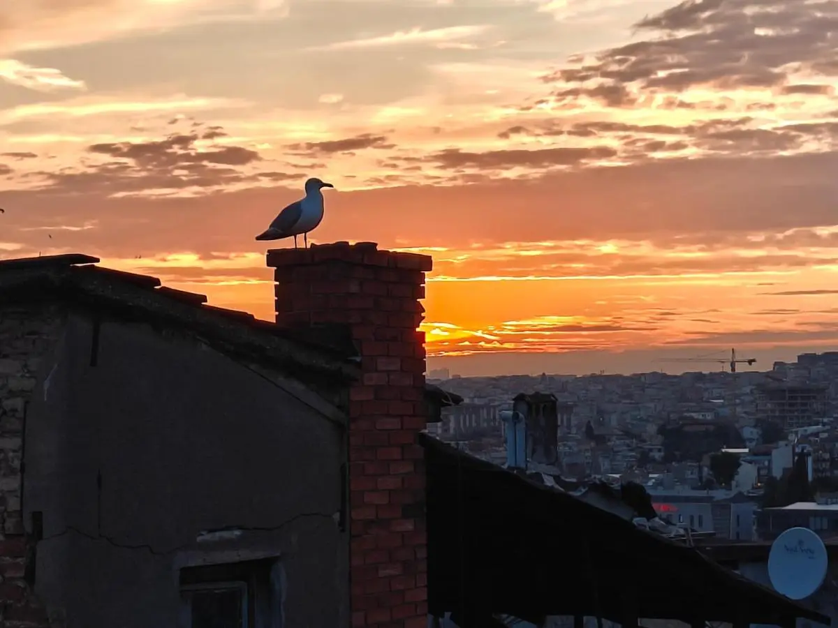 Kunterbunt Istanbul