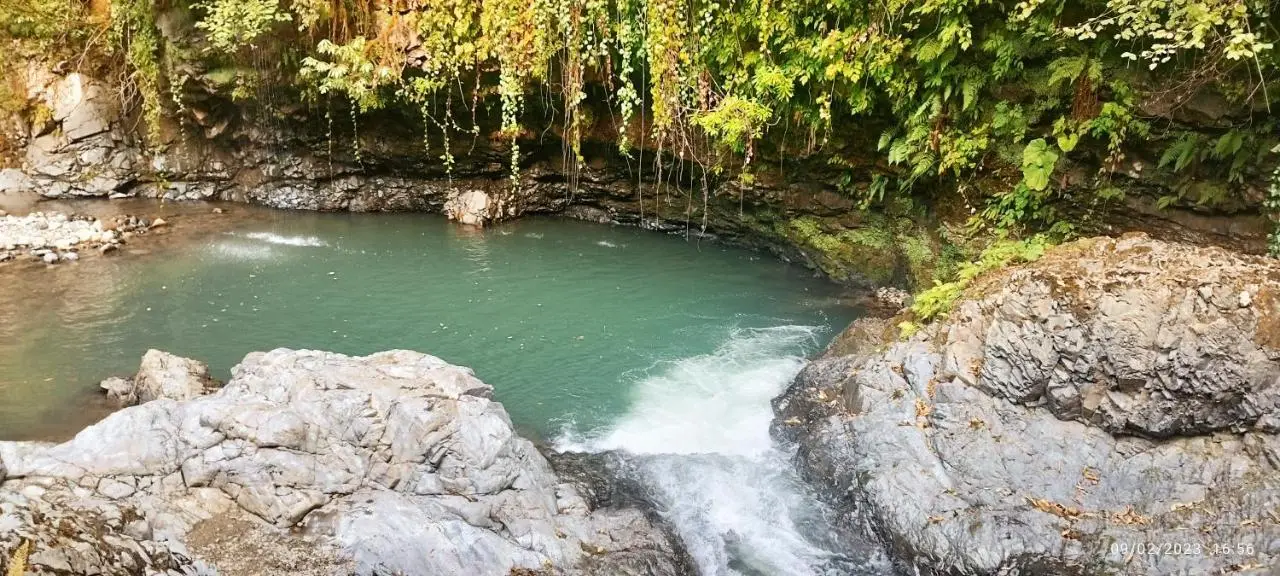 GREEN GUNDAURI