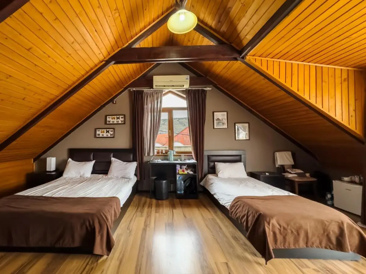 Hotel New Metekhi