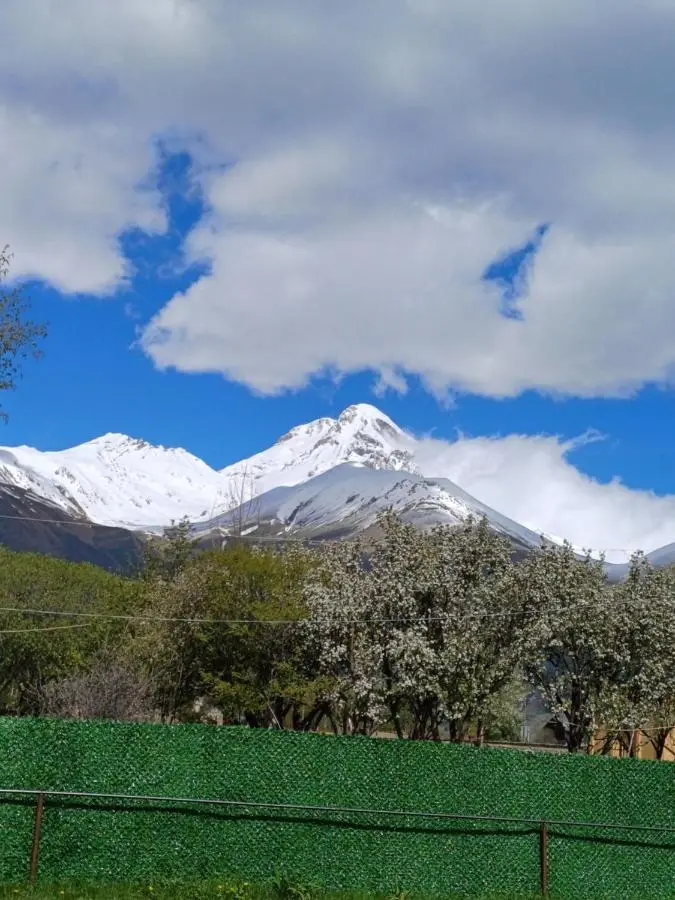 Panorama cottages Kazbegi