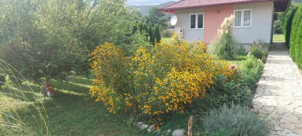 Lamija House