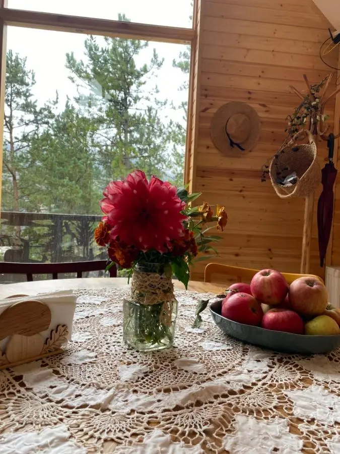 EcoCottage Didi Mindori