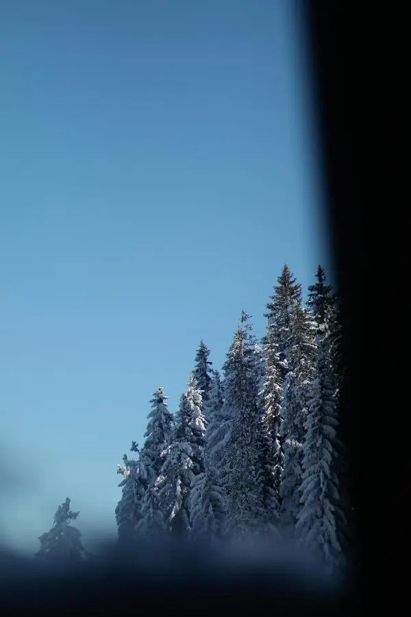 Nivalis Residence Jahorina