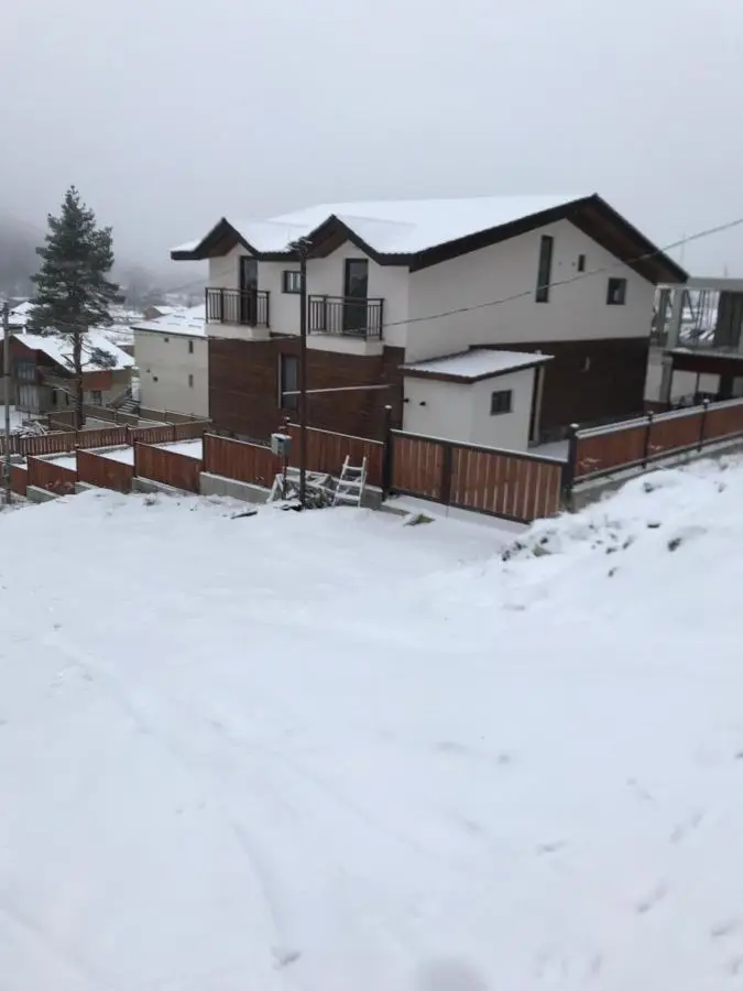 House Near Forest
