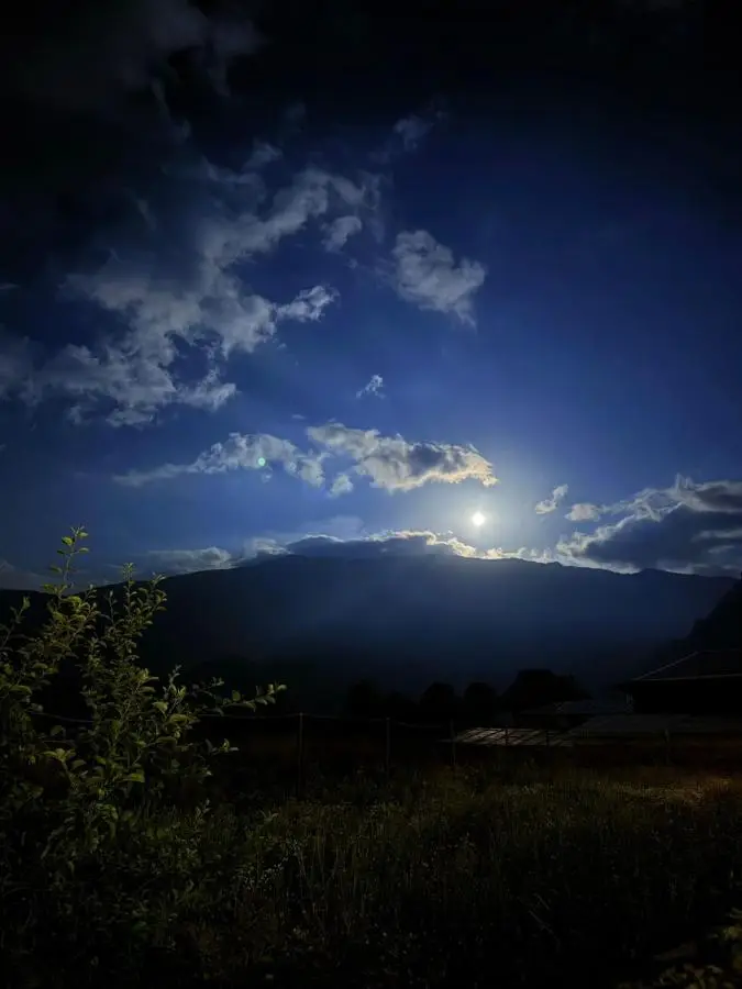 Shelva Cottage kazbegi