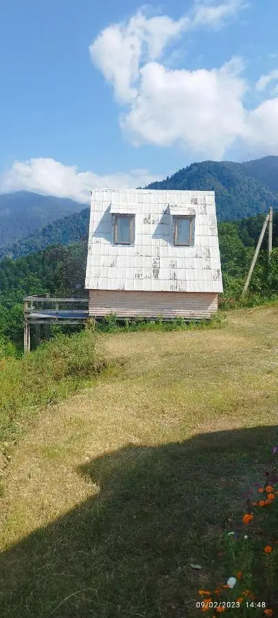 GREEN GUNDAURI