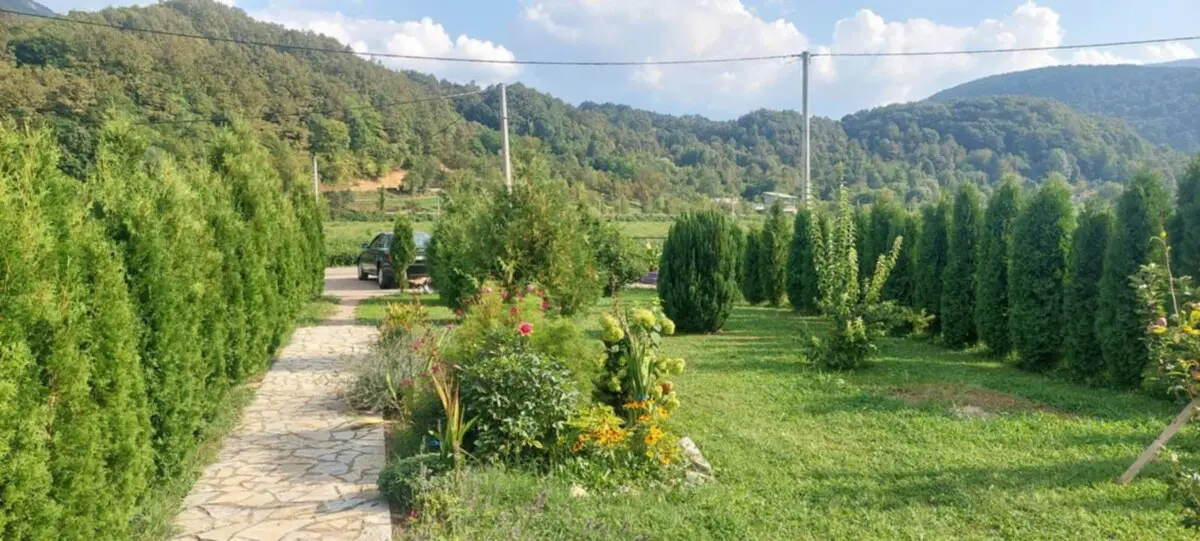 Lamija House