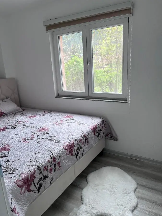 Apartman Kasic