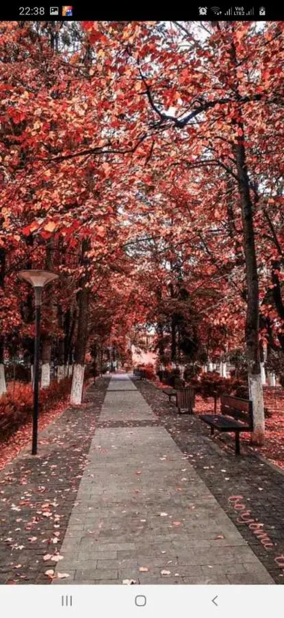 Gamsakhurdia Street