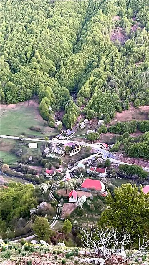 Vilat Pllumaj