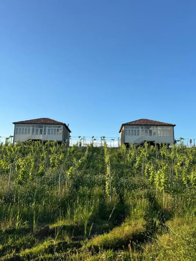 Chateau Vartsikhe