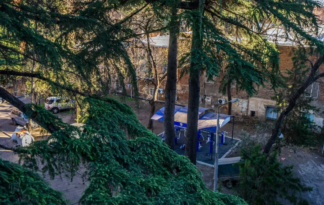 Luxury Apartments on Central Avenue