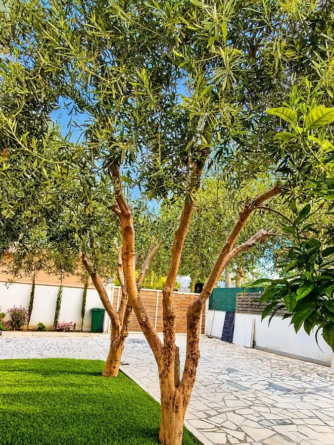 Villa Arli&Eris