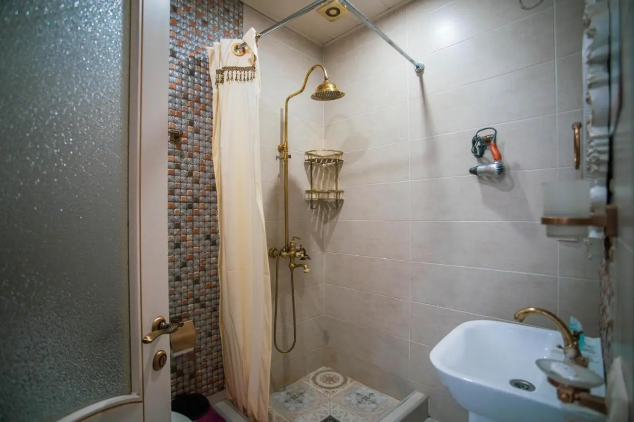 Borjomi Classic Hotel