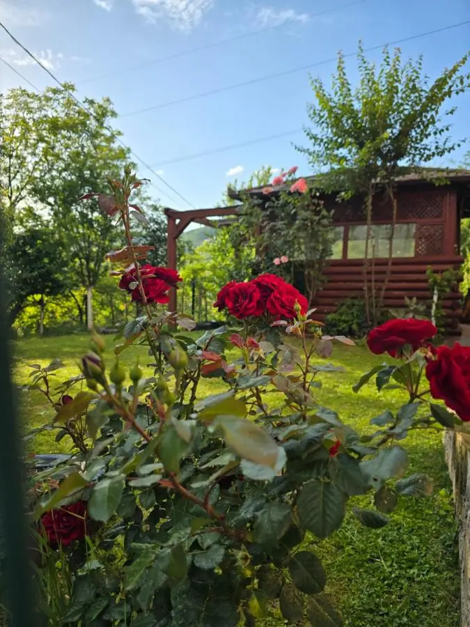 Villa Amir