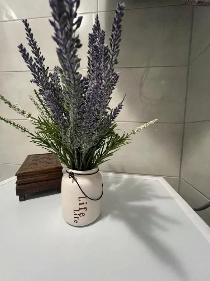 Apartman Jan