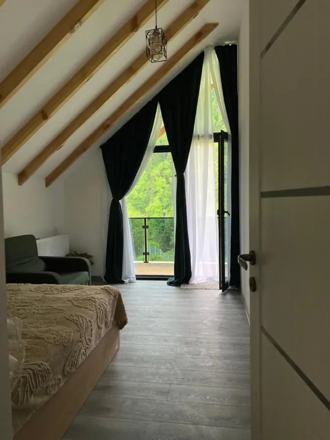 MTA house - Borjomi