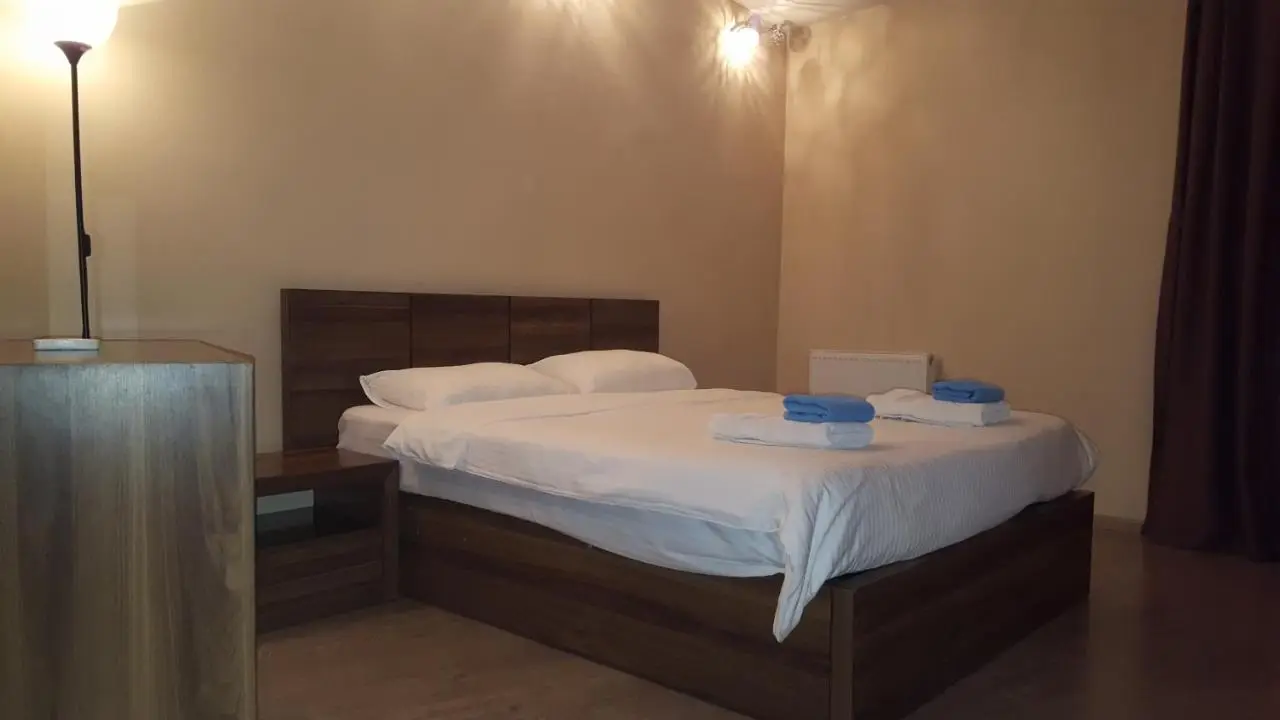 Apartment Rustaveli 1