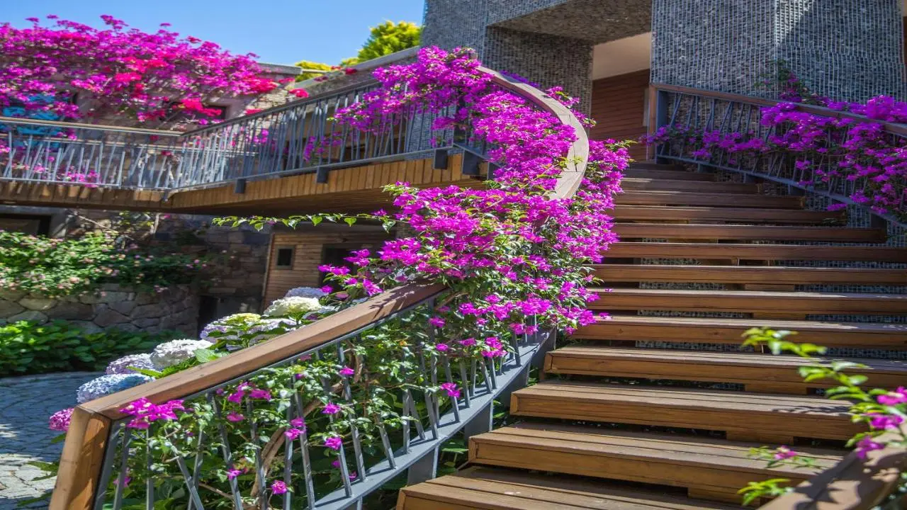 Costa Farilya Special Class Hotel Bodrum