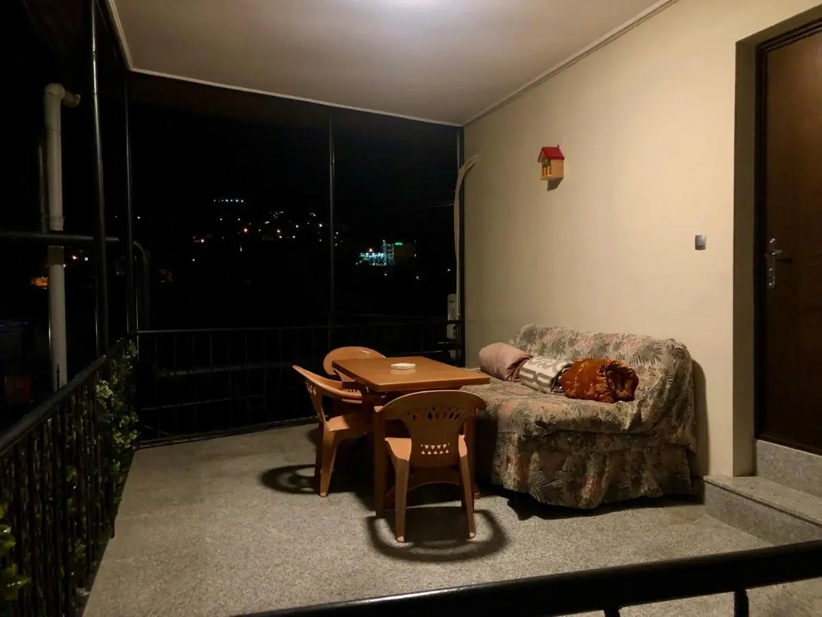 Luxury Apartment at Pirosmani 22 in central Borjomi