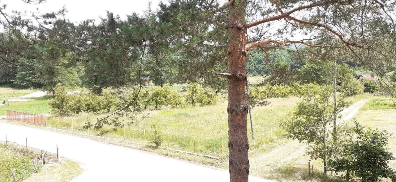 Smještaj na selu,porodica Gvozdenac