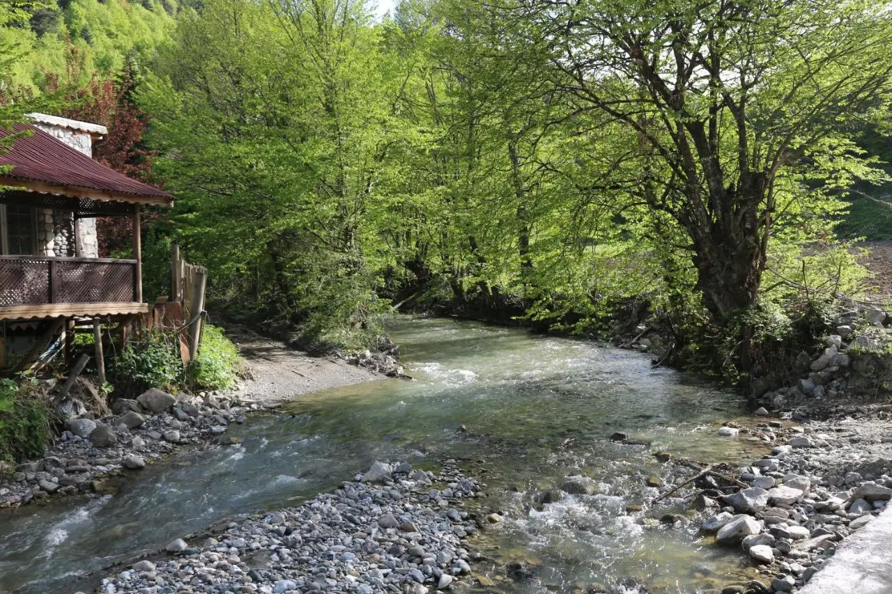 ABANT DORT MEVSİM KONAĞI HOSTEL