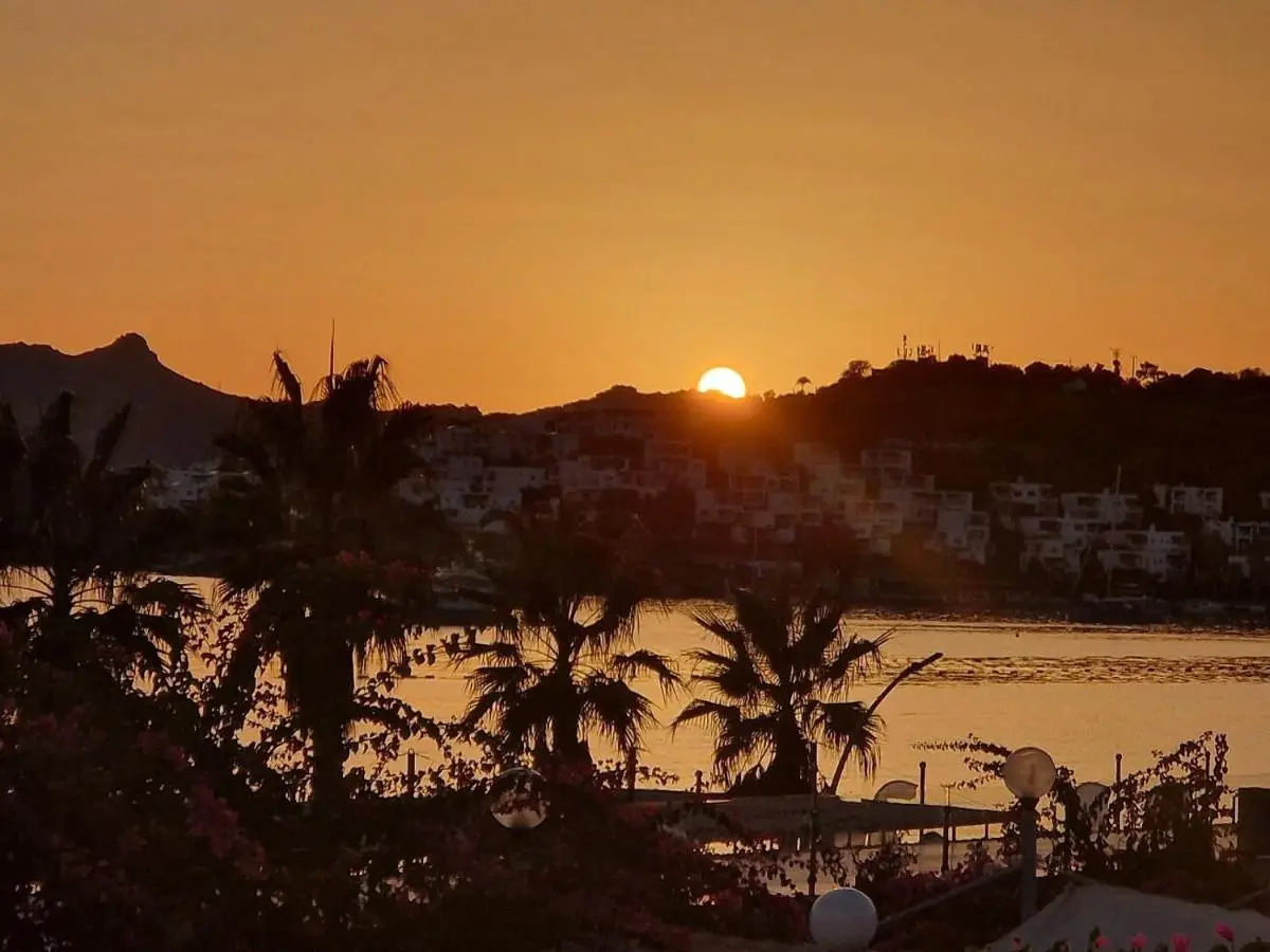 Ambrosia Hotel Beach & Spa