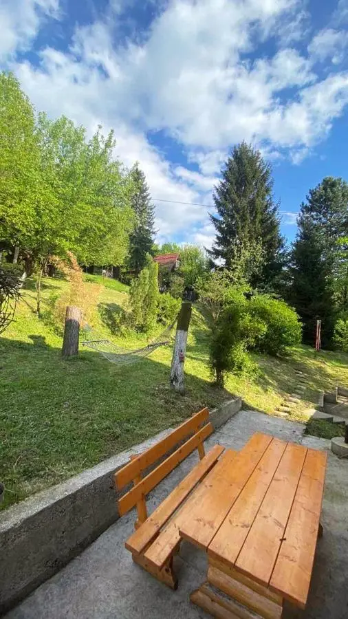 Piccola foresta