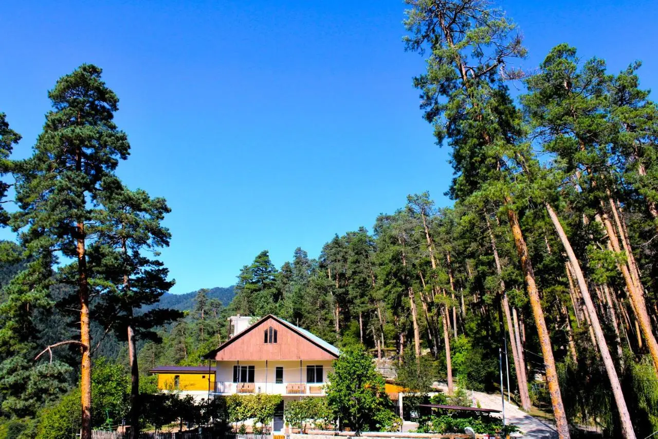 Guest House on Meskheti