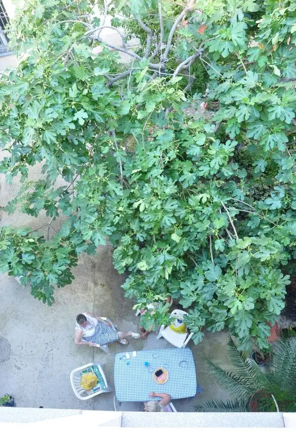 Guest House Mirza