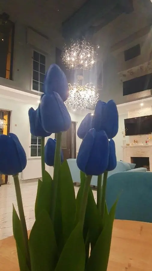 Orophile guest house