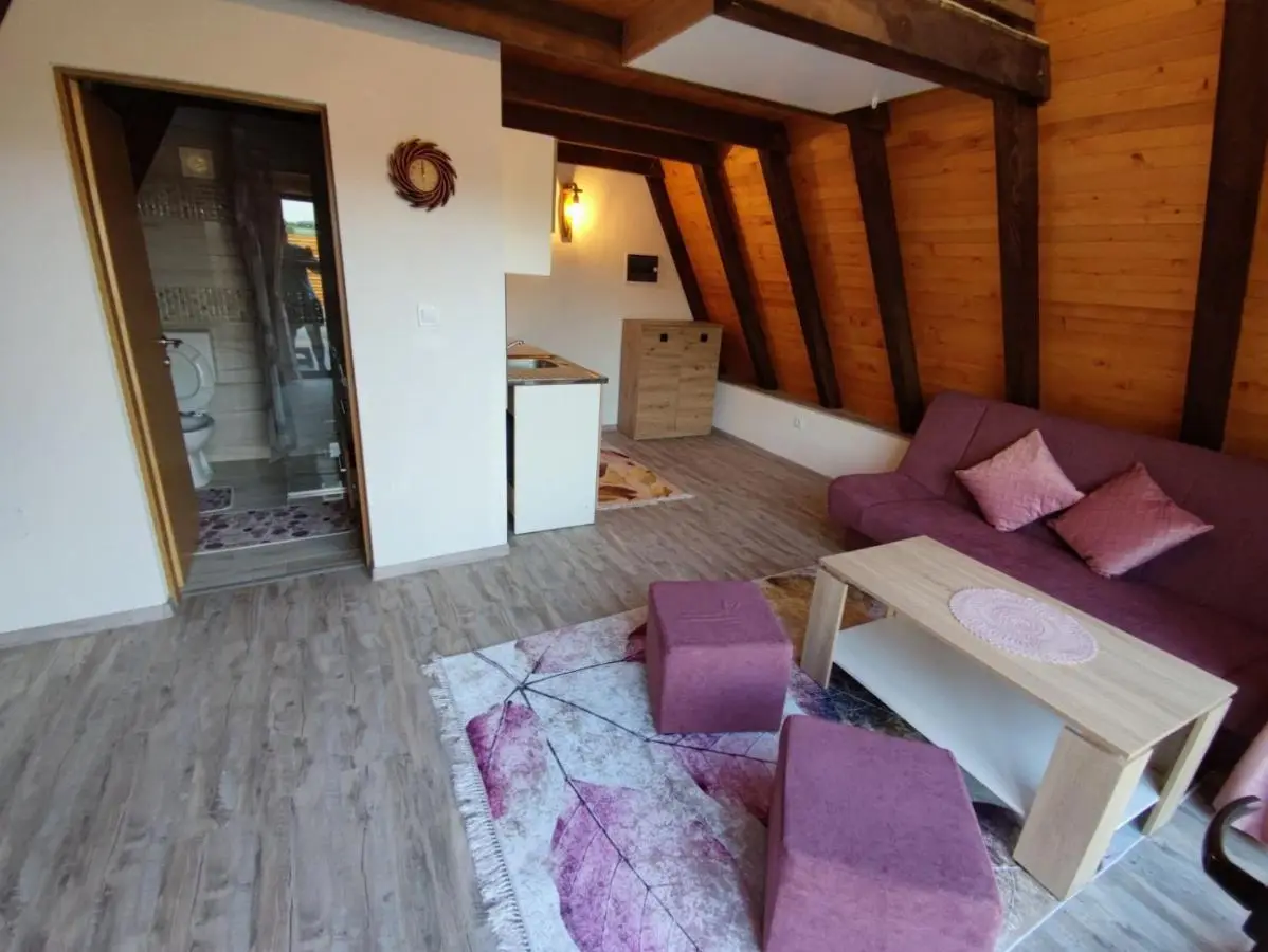 Villa Dream House Bihac