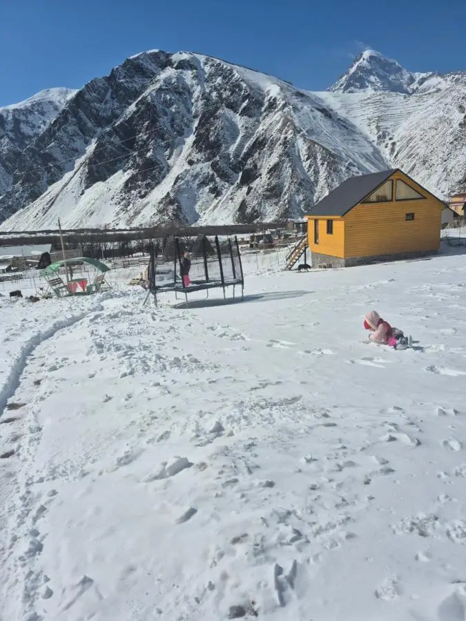 mood villa kazbegi