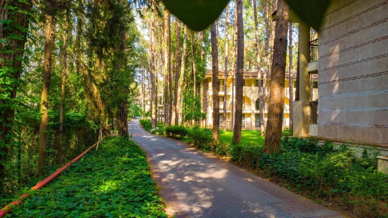 Champion Holiday Village