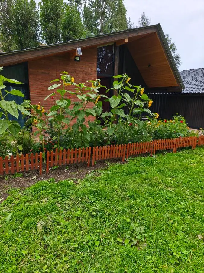 Cozy Wooden House near Gudauri
