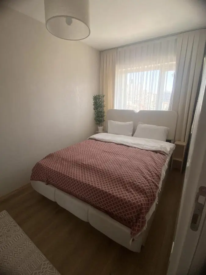 Luxe Suite AI28