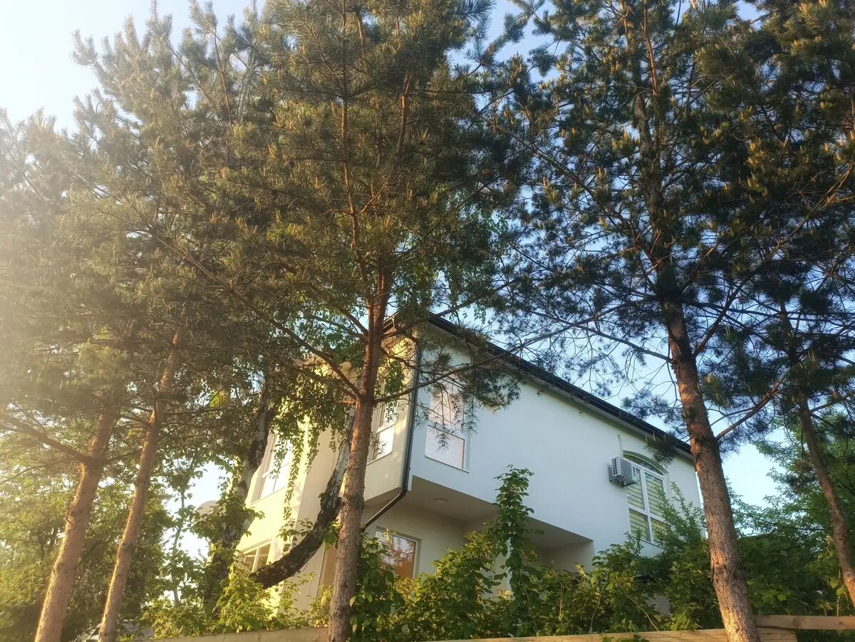 Villa Bloom - Villa in nature with a large orchard