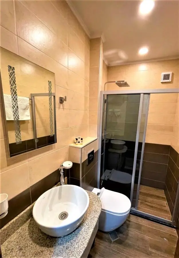 Hotel King David Bakuriani Mountain View