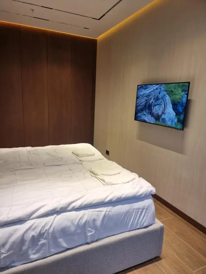 Premium apartment in Porta Batumi Tower