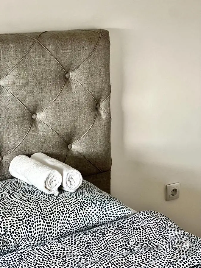 Luxury apartment Ema